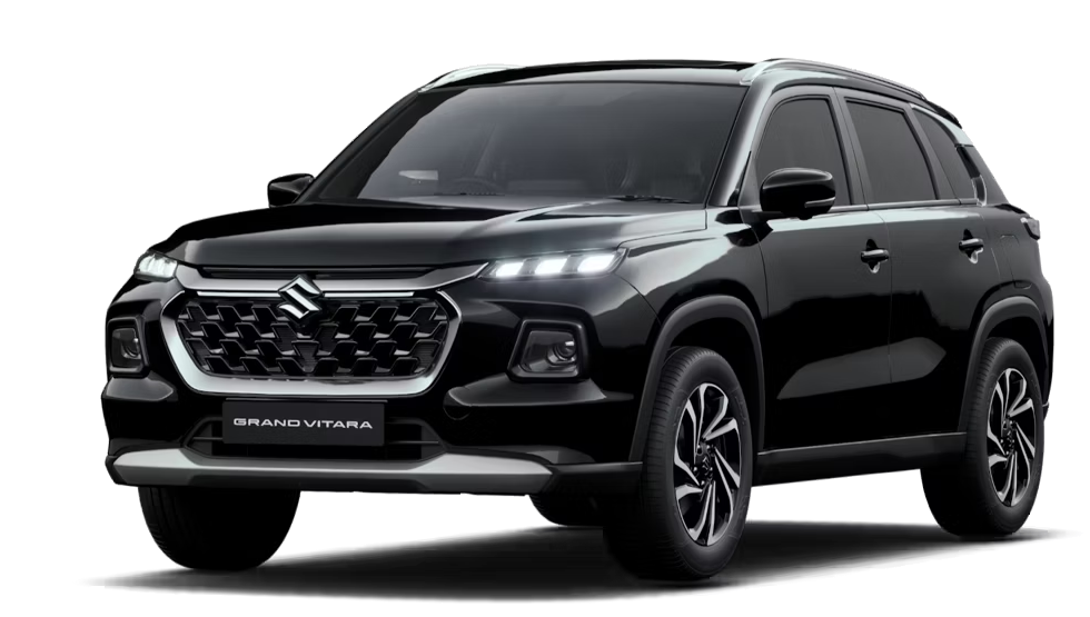 Maruti Grand Vitara Colour